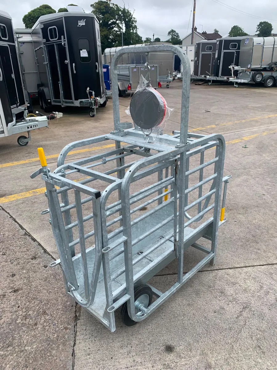 Stanley sheep weigh scales in stock - Image 2