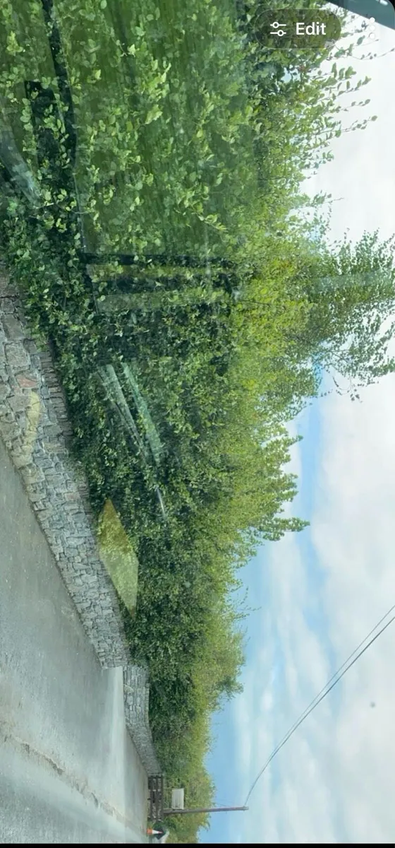 Tree surgeon /tree maintance / groundworks - Image 3