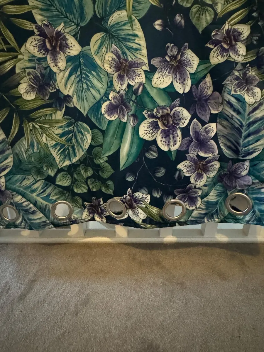 Curtains - Image 2