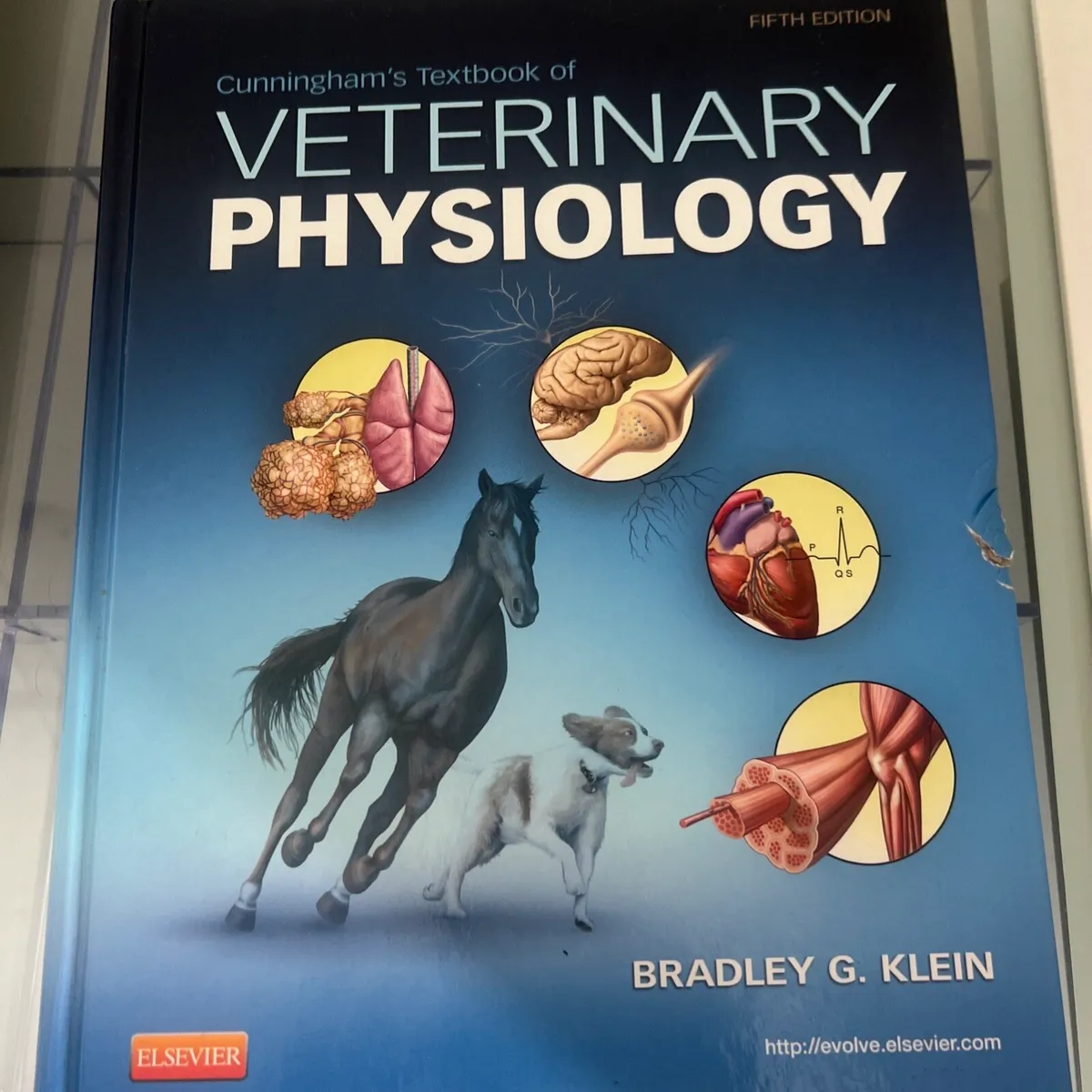 Veterinary Medicine books - Image 1