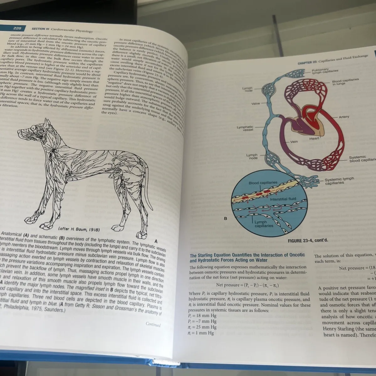 Veterinary Medicine books - Image 2