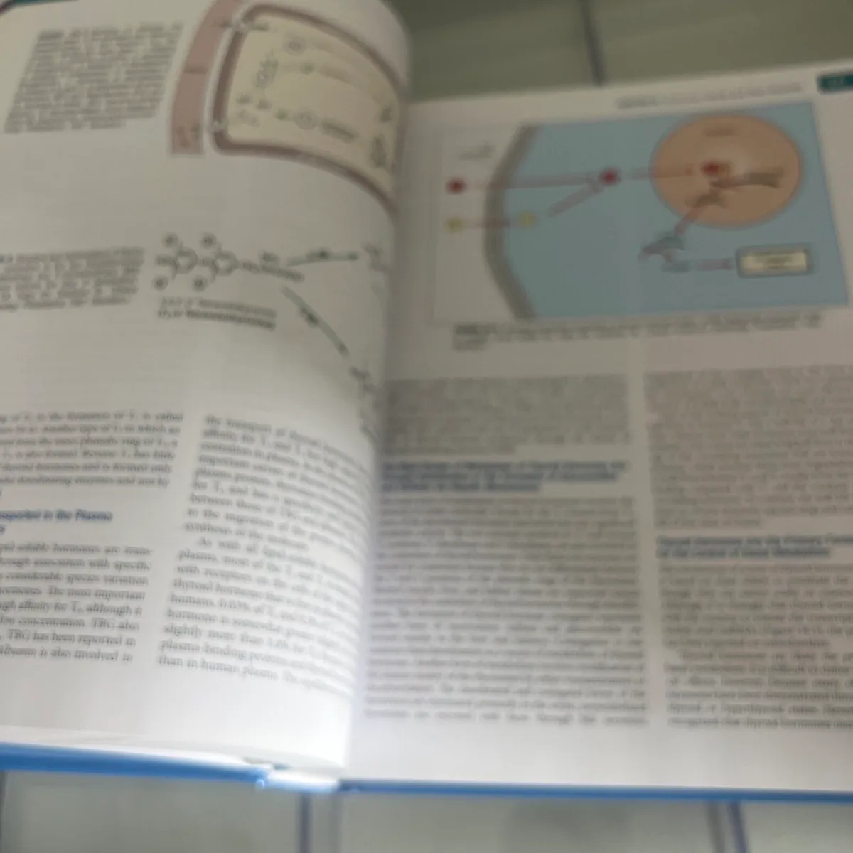 Veterinary Medicine books - Image 3