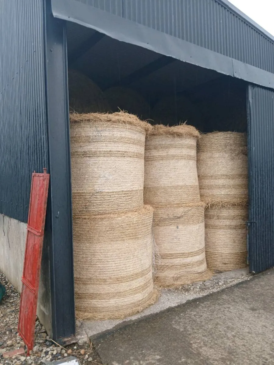 Round bales hay