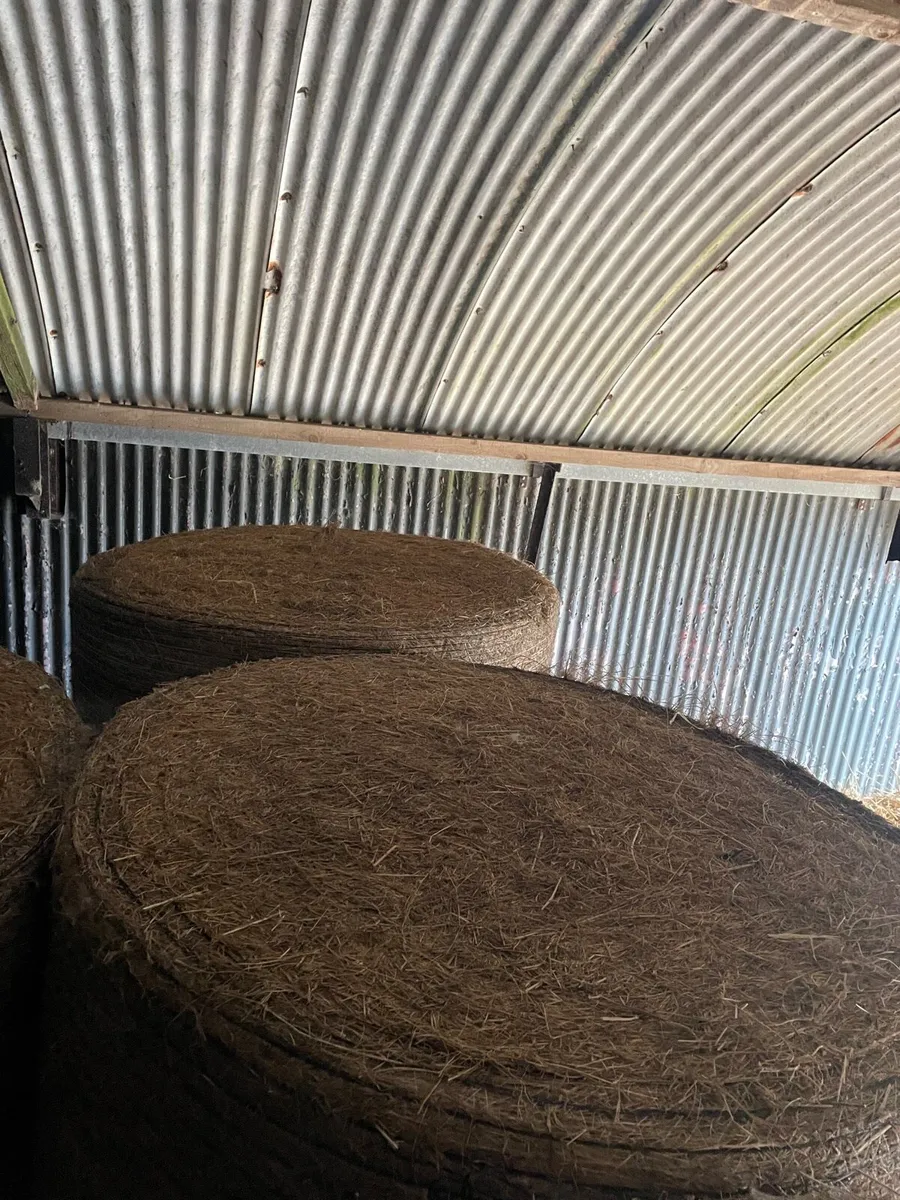Hay