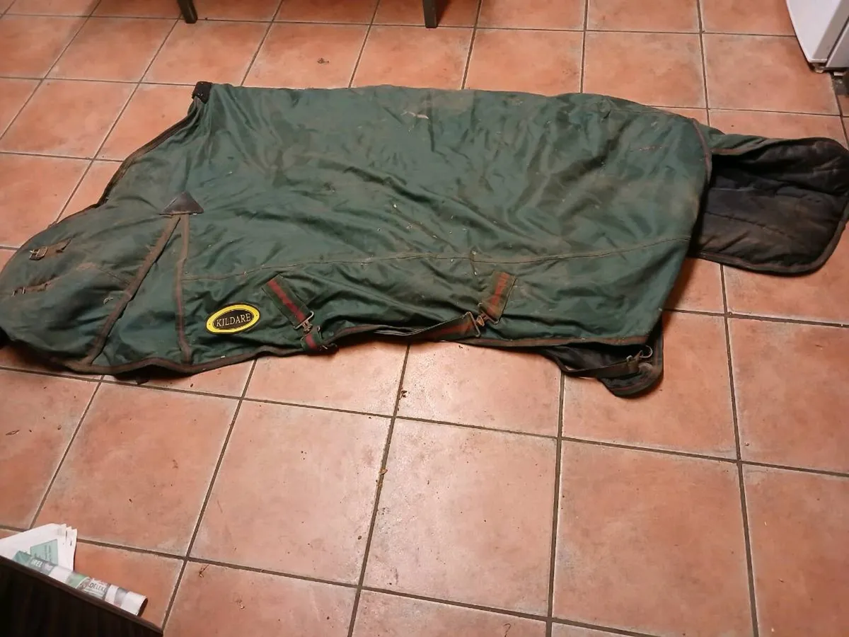 Riding equipment - Image 1