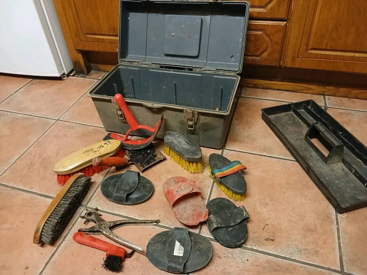 Riding equipment - Image 2