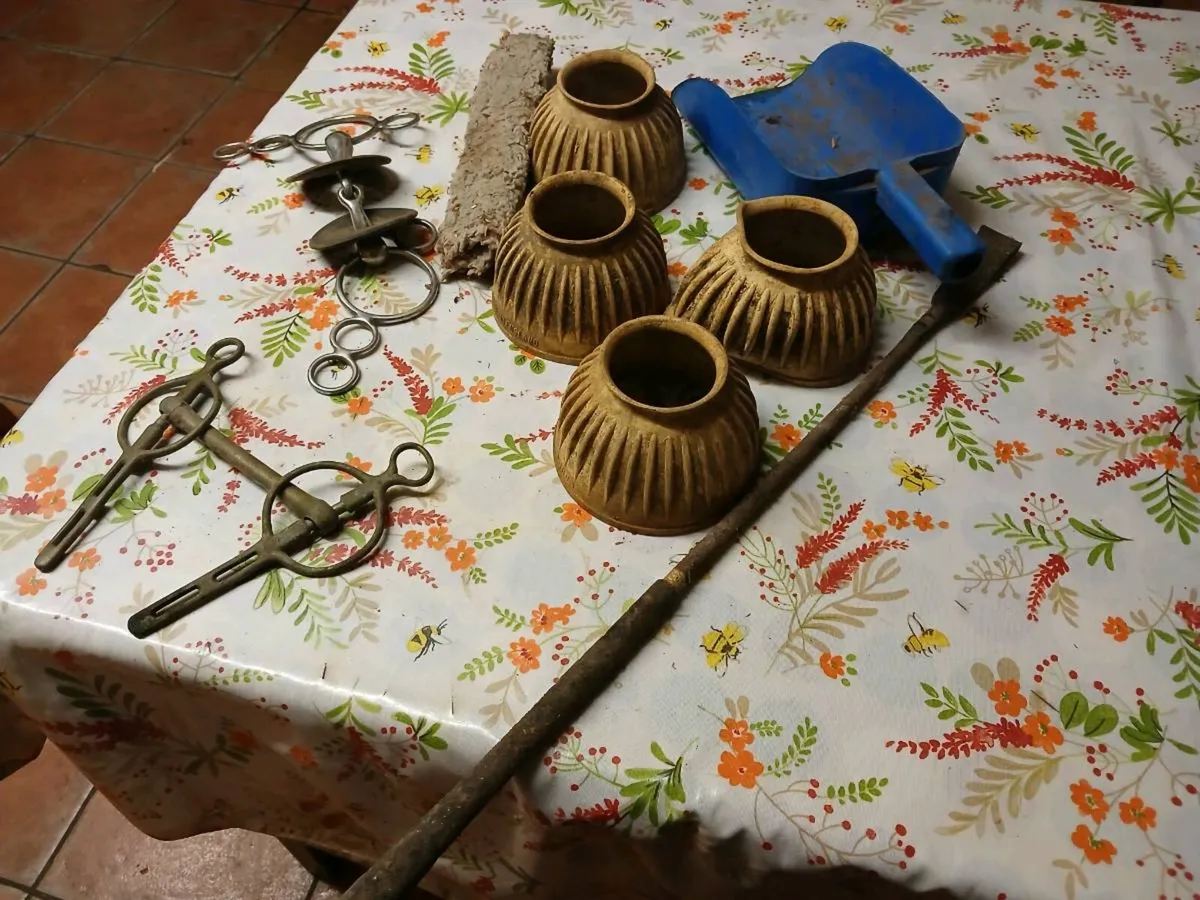 Riding equipment - Image 4
