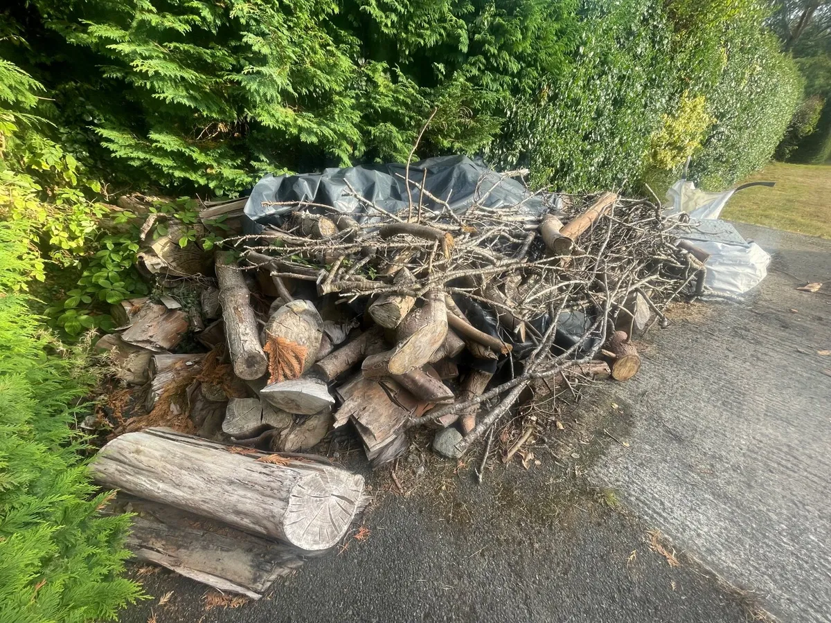 Fire wood - Image 2