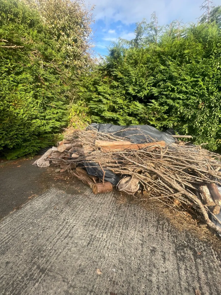 Fire wood - Image 3