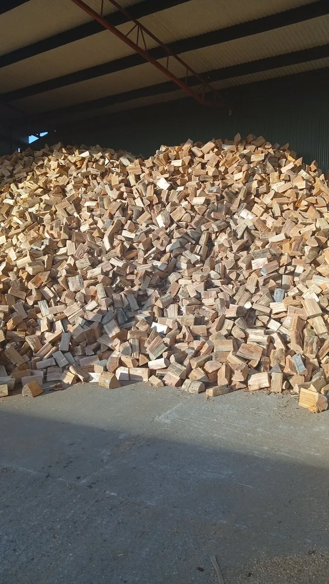 Firewood - Image 3