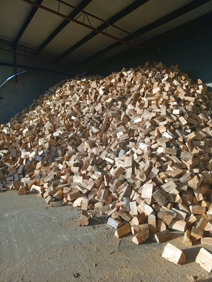 Firewood - Image 4