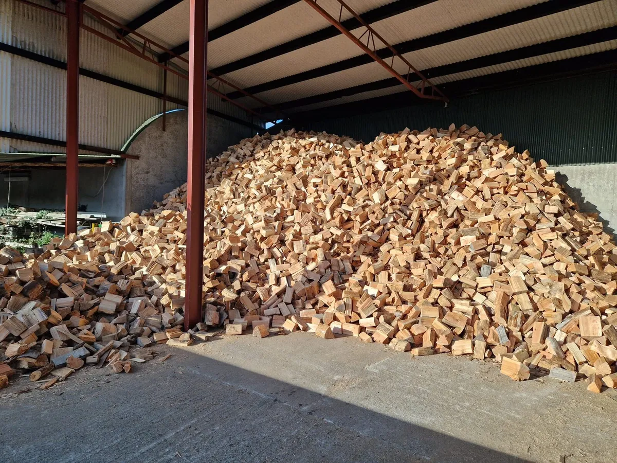 Firewood - Image 1
