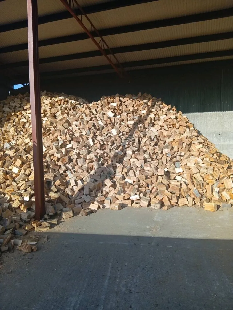 Firewood - Image 2