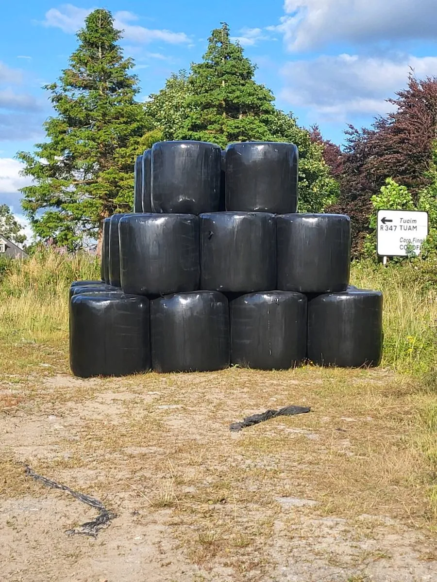 Haylage .silage - Image 1