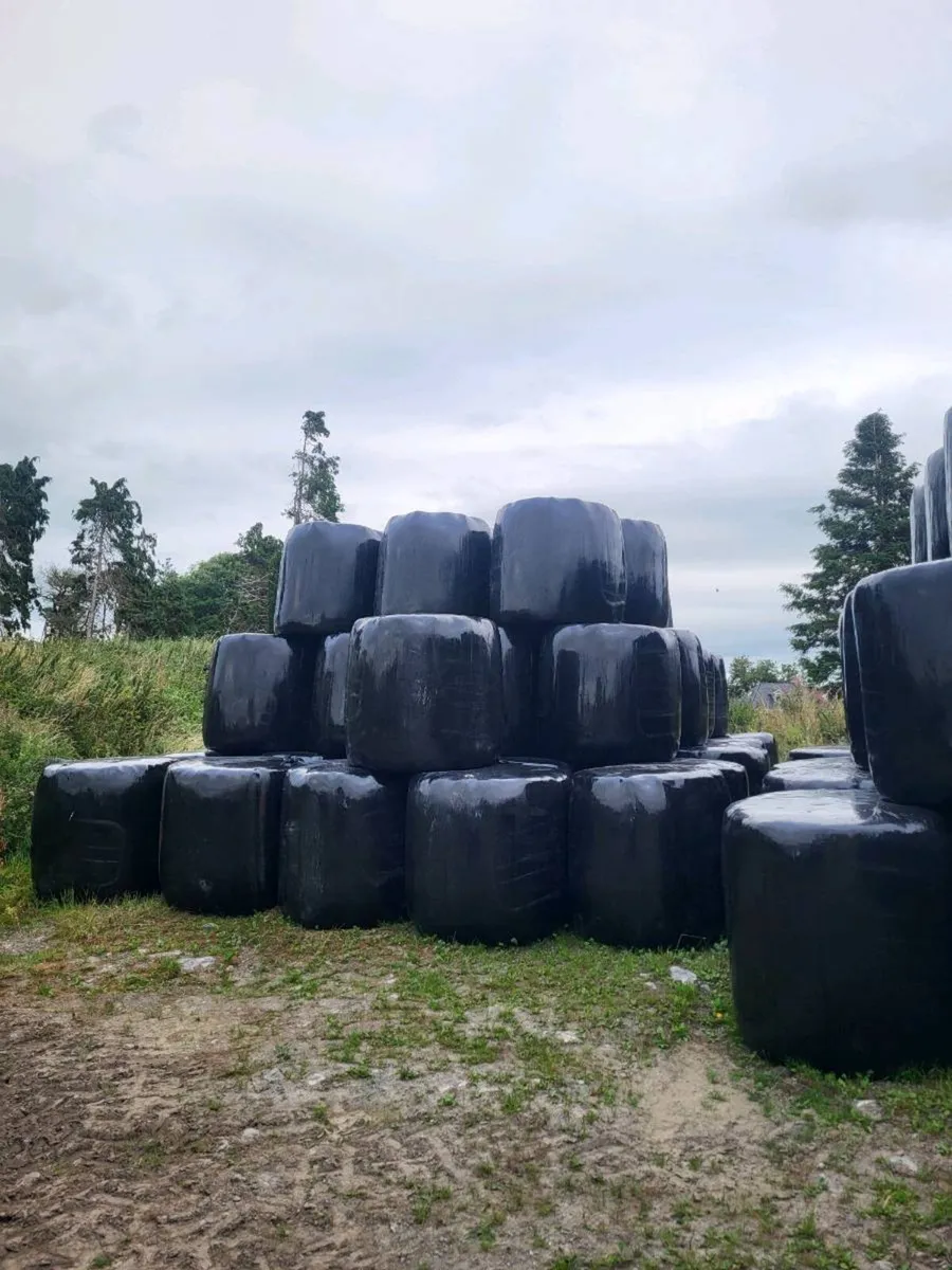 Haylage .silage - Image 2