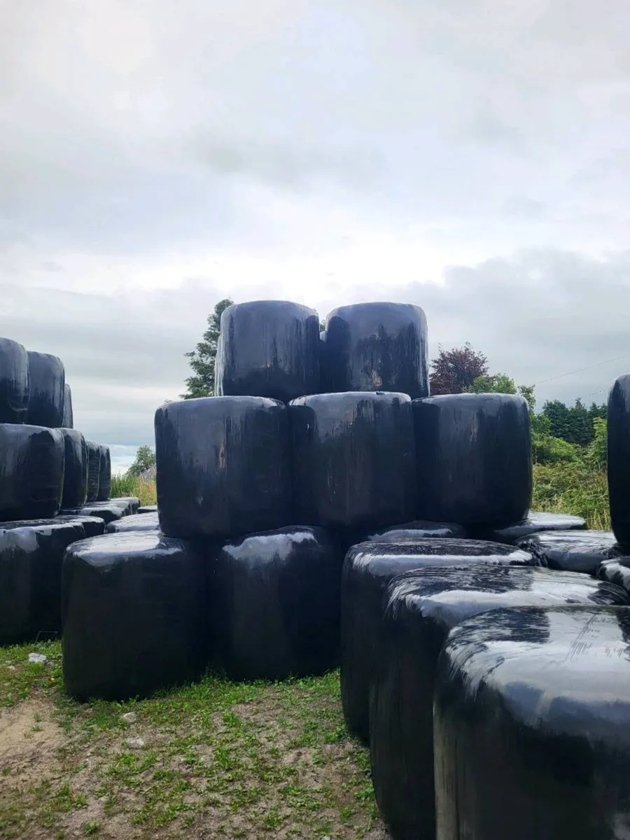Haylage .silage - Image 3