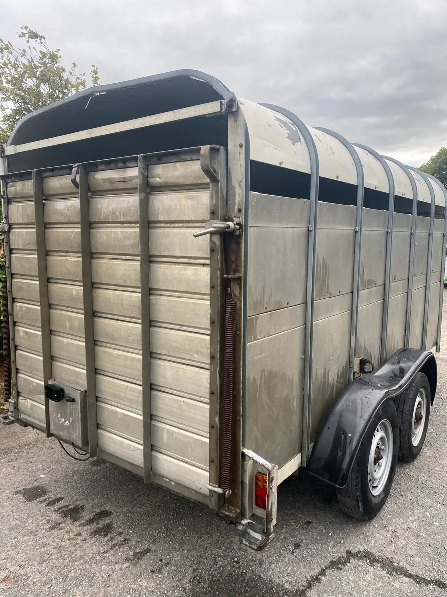 Hudson 12ft cattle trailer - Image 2