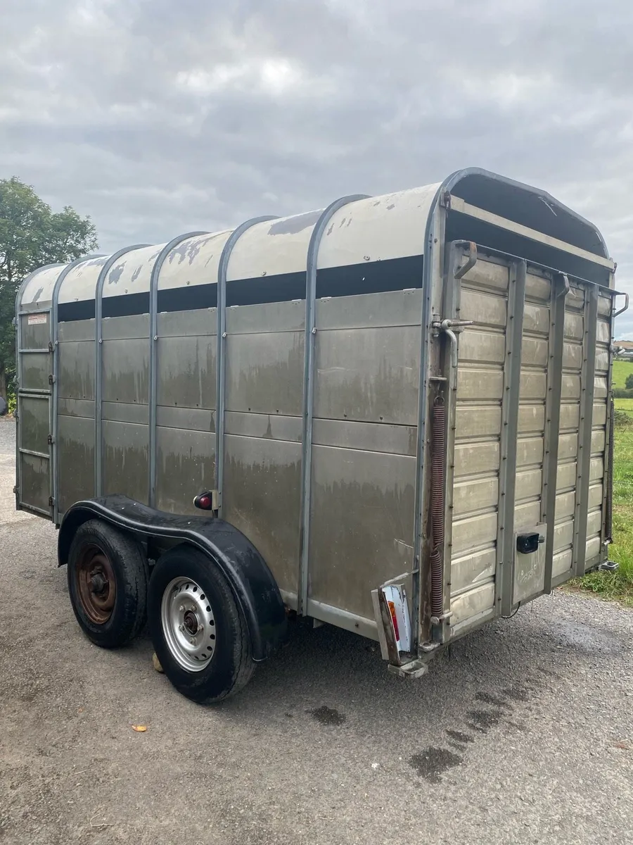 Hudson 12ft cattle trailer - Image 3