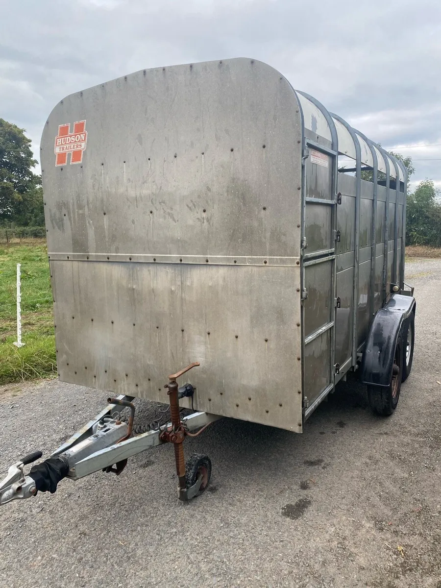 Hudson 12ft cattle trailer - Image 4