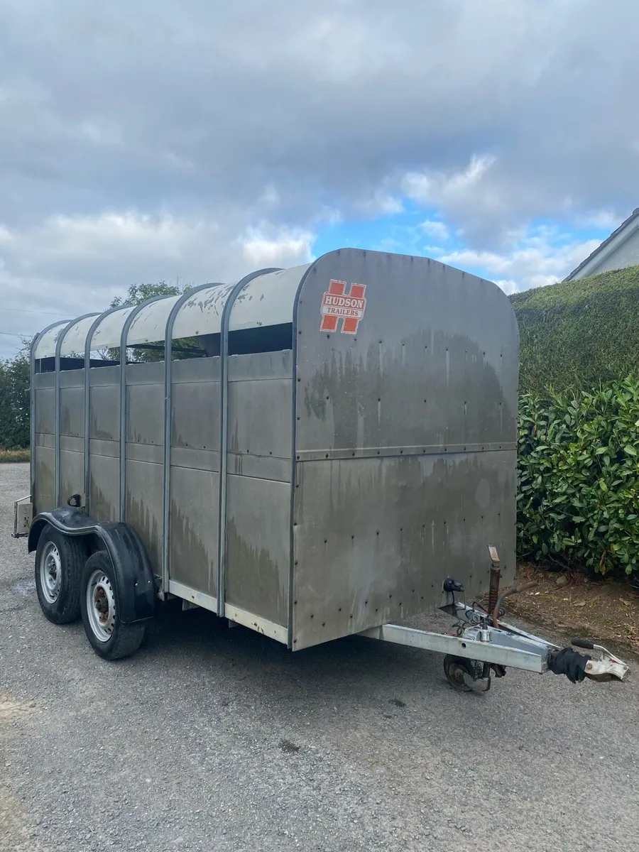 Hudson 12ft cattle trailer - Image 1