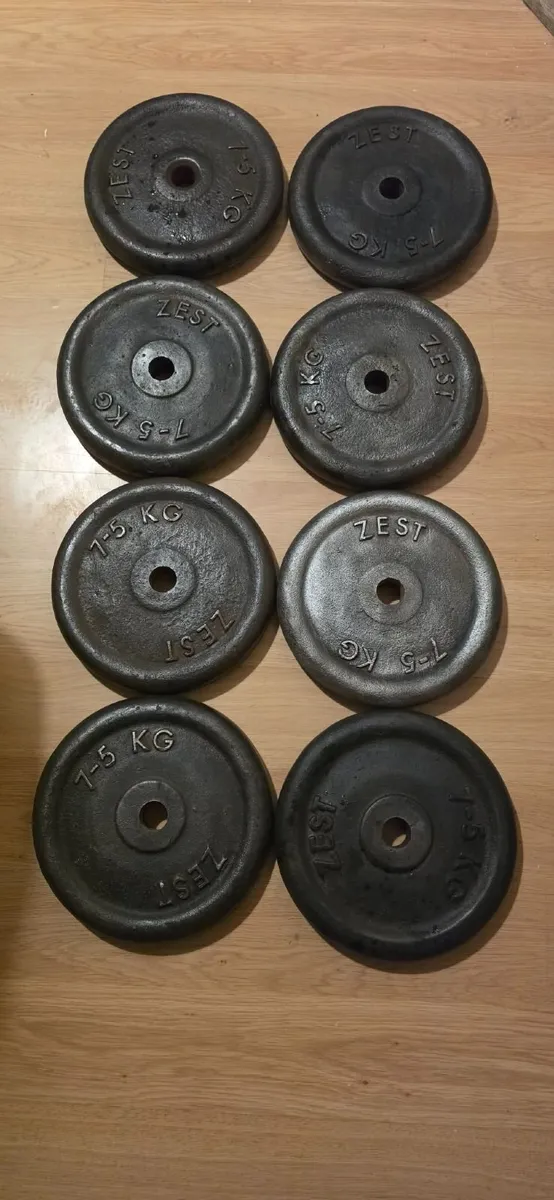 Weights plates 8×7,5kg