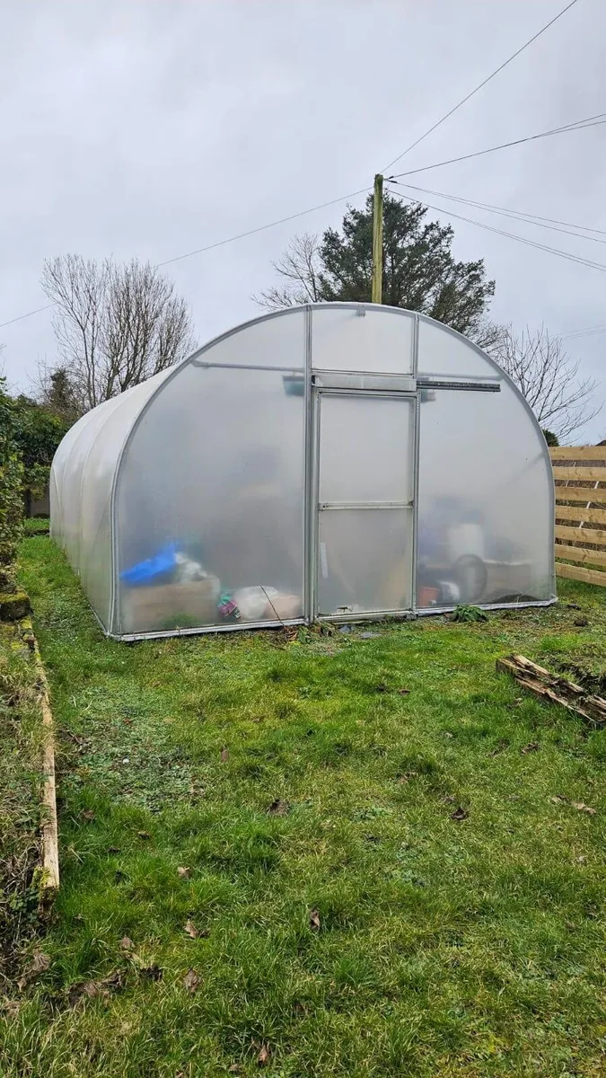 Polytunnel - Image 1