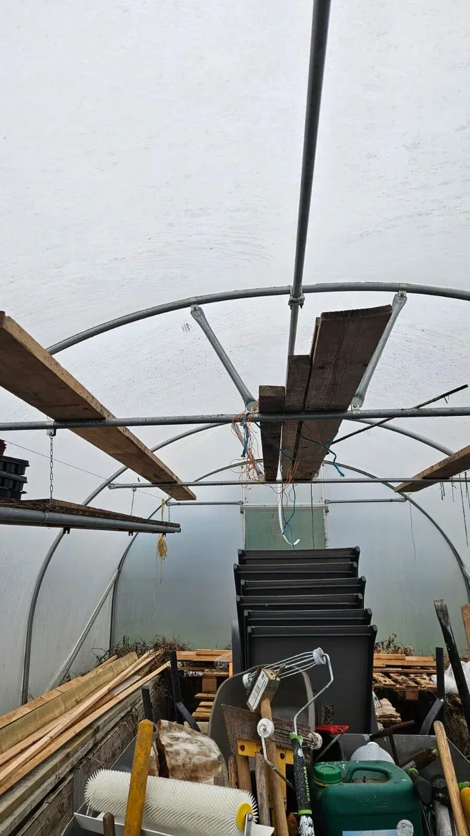 Polytunnel - Image 2