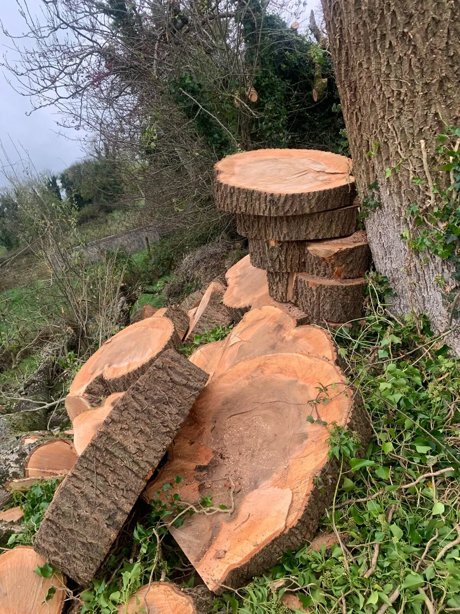 Ash Hardwood Firewood - Image 2