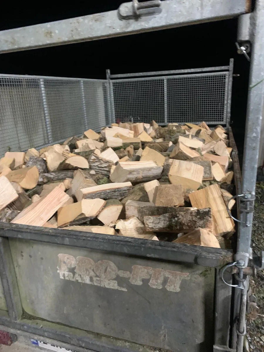 Ash Hardwood Firewood - Image 3