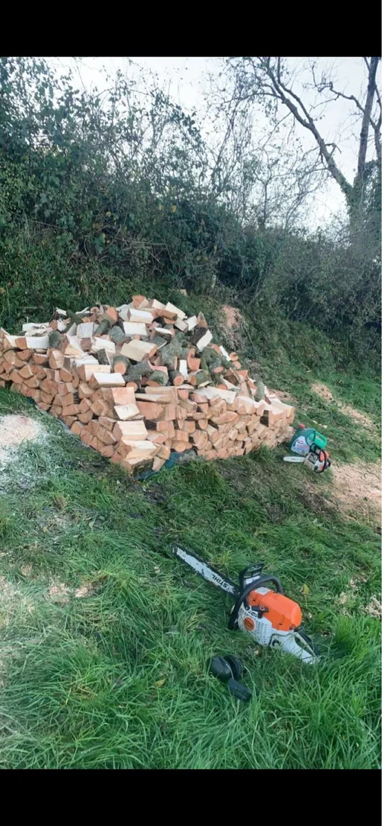 Ash Hardwood Firewood - Image 4
