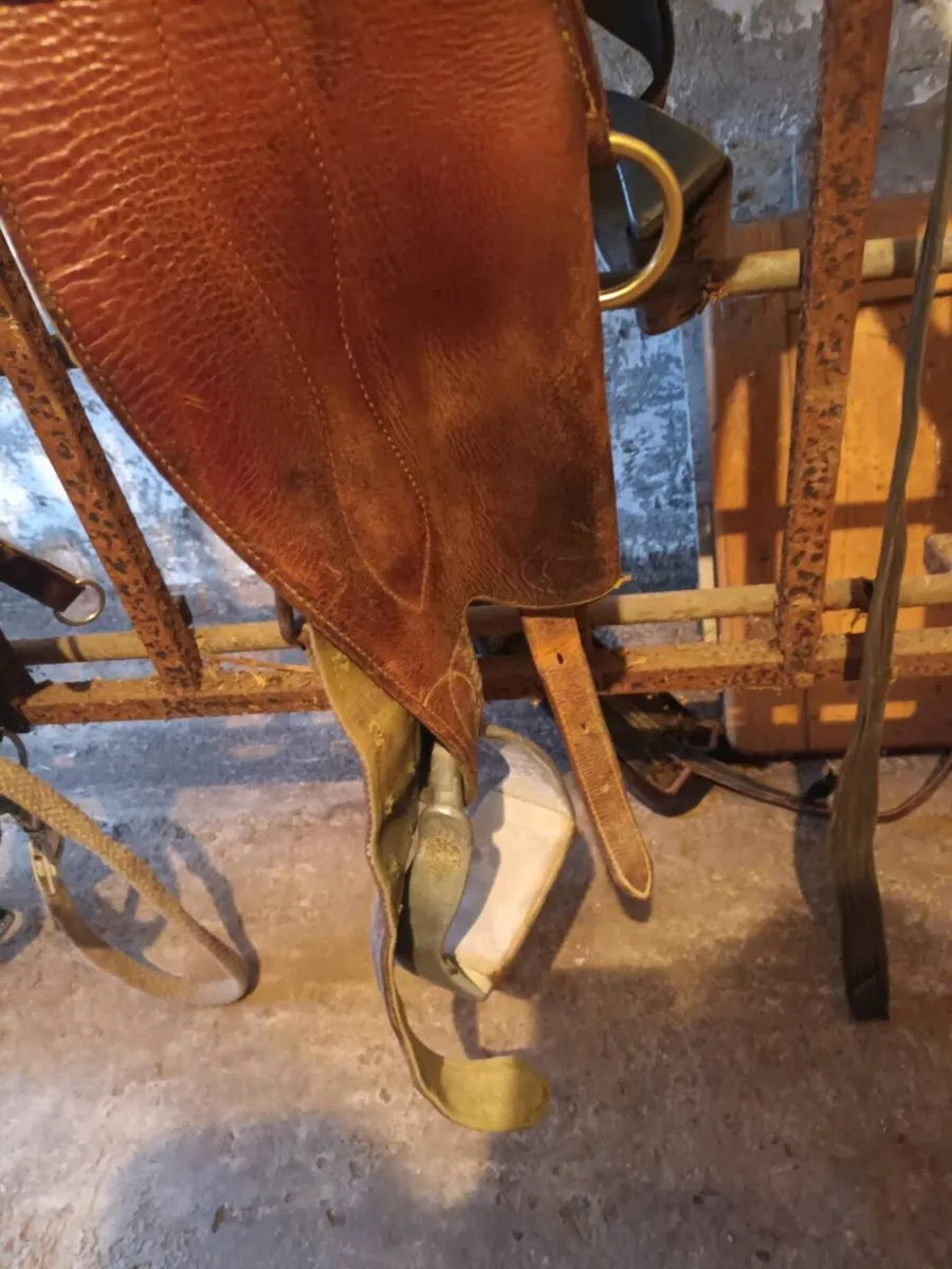 Stock saddle - Image 4