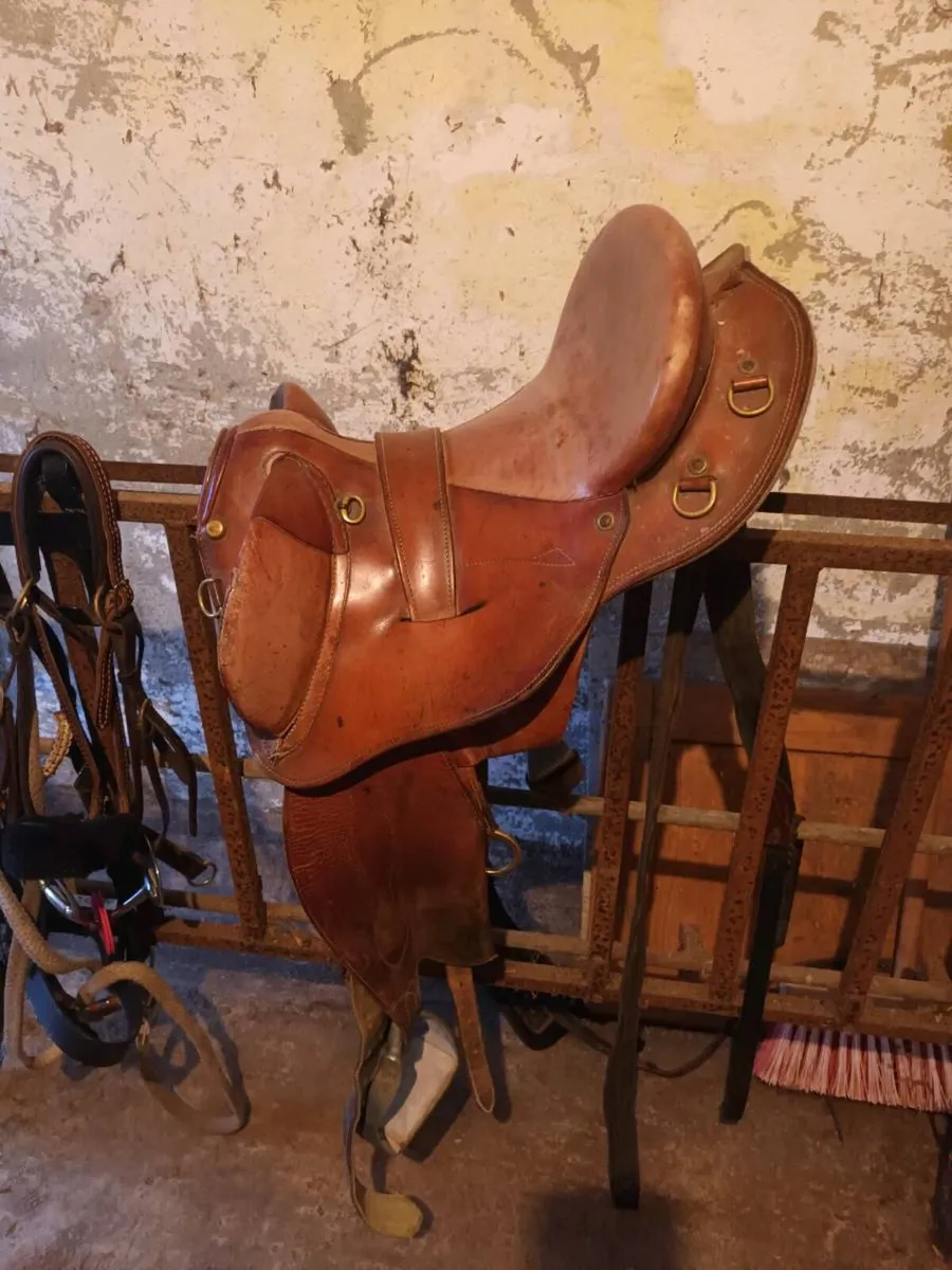 Stock saddle - Image 1