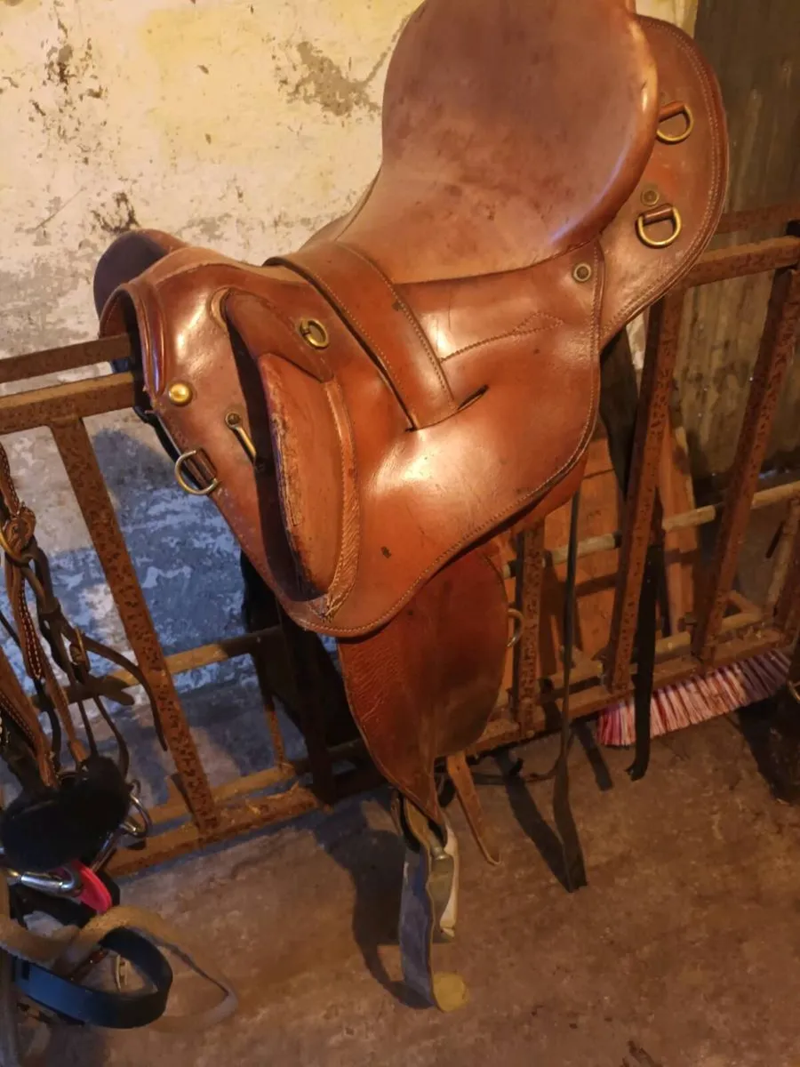Stock saddle - Image 2