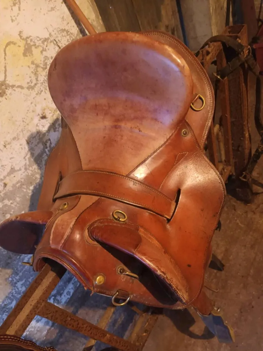 Stock saddle - Image 3