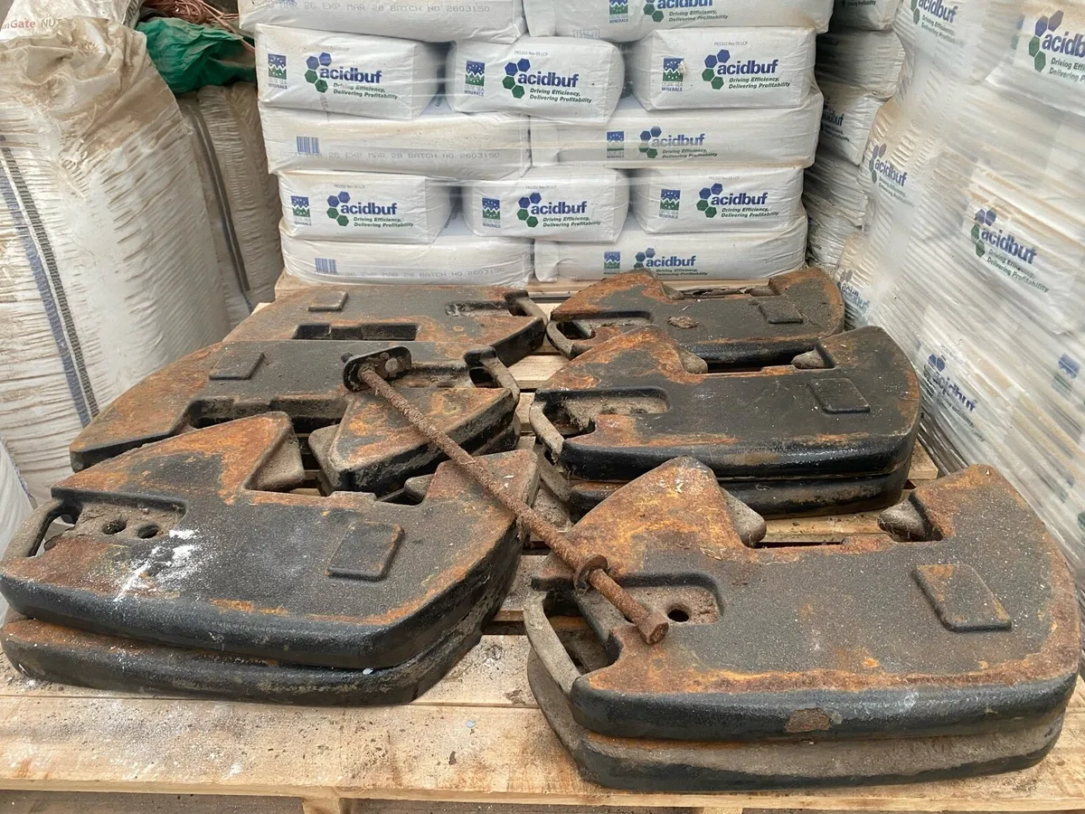 Case/new Holland weights - Image 1