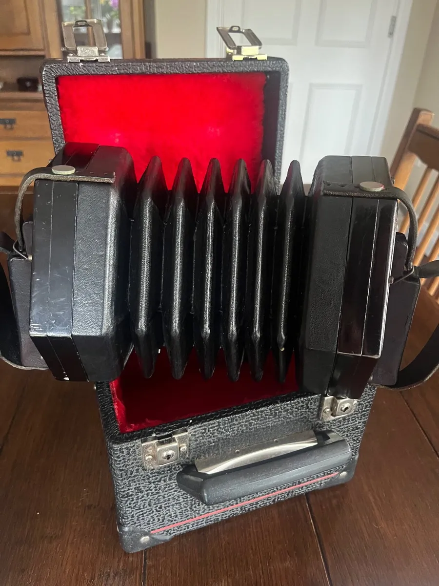 Concertina - Image 4