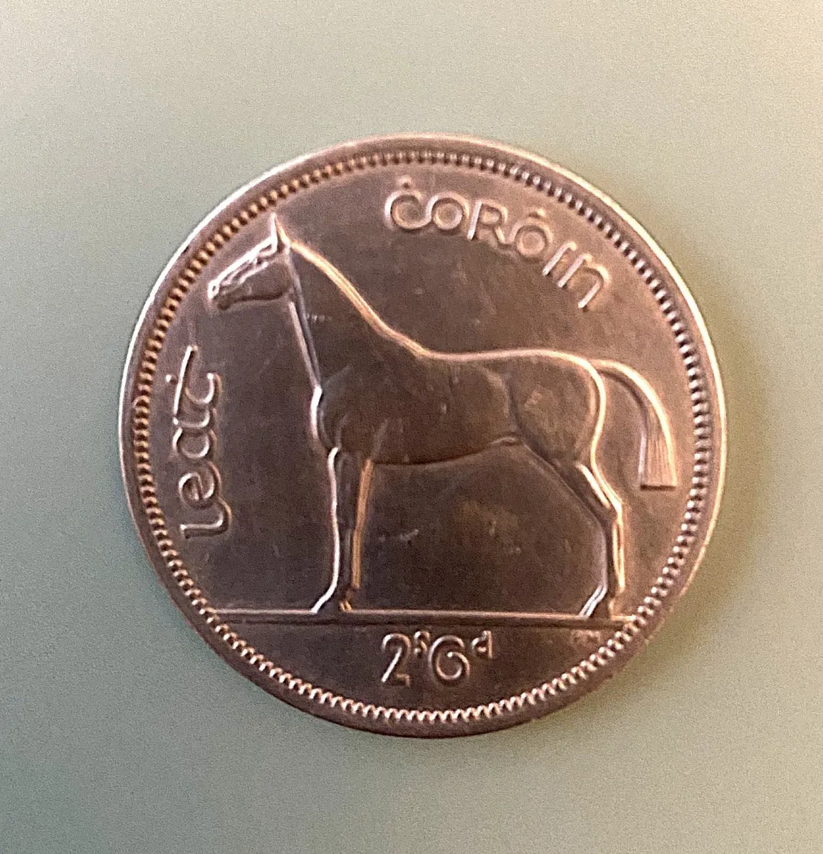 An Irish Hunter From 1964, Free Post - Image 1