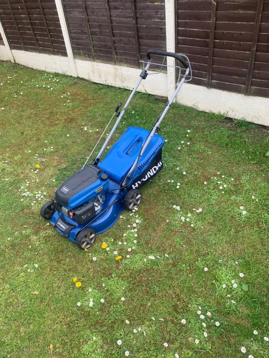 Lawnmower - Image 2