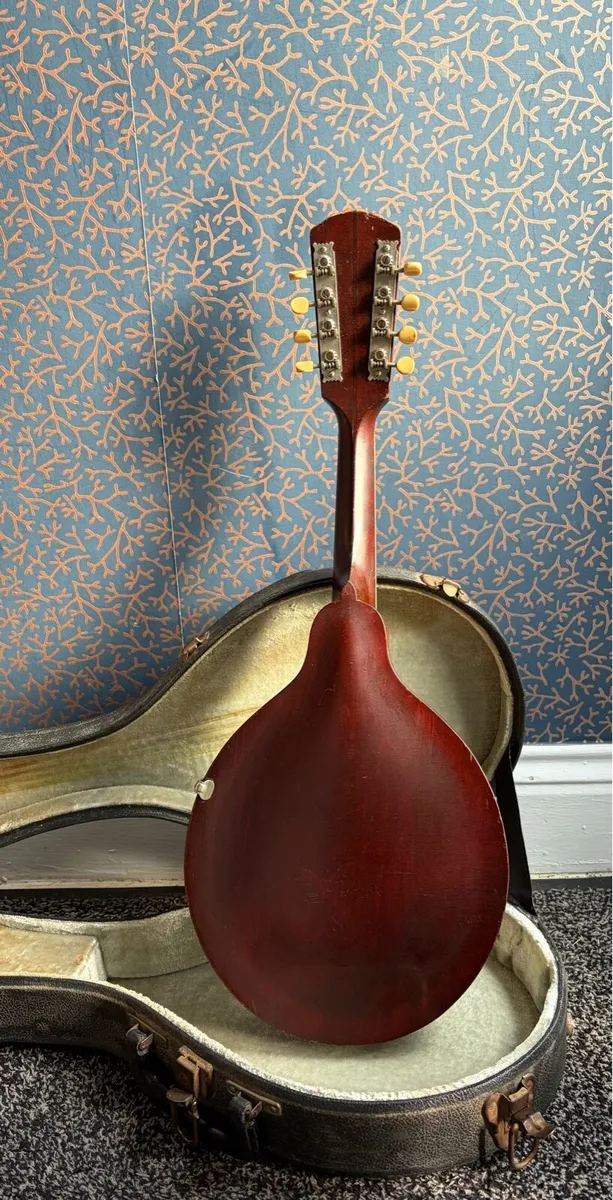 Gibson Mandolin - Image 2