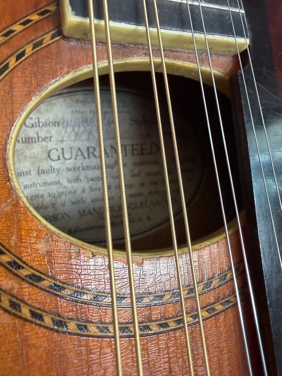 Gibson Mandolin - Image 3
