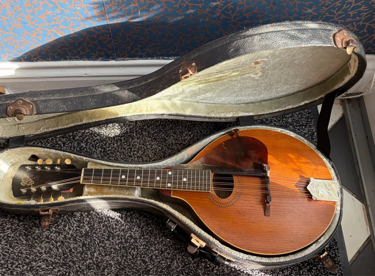 Gibson Mandolin - Image 4