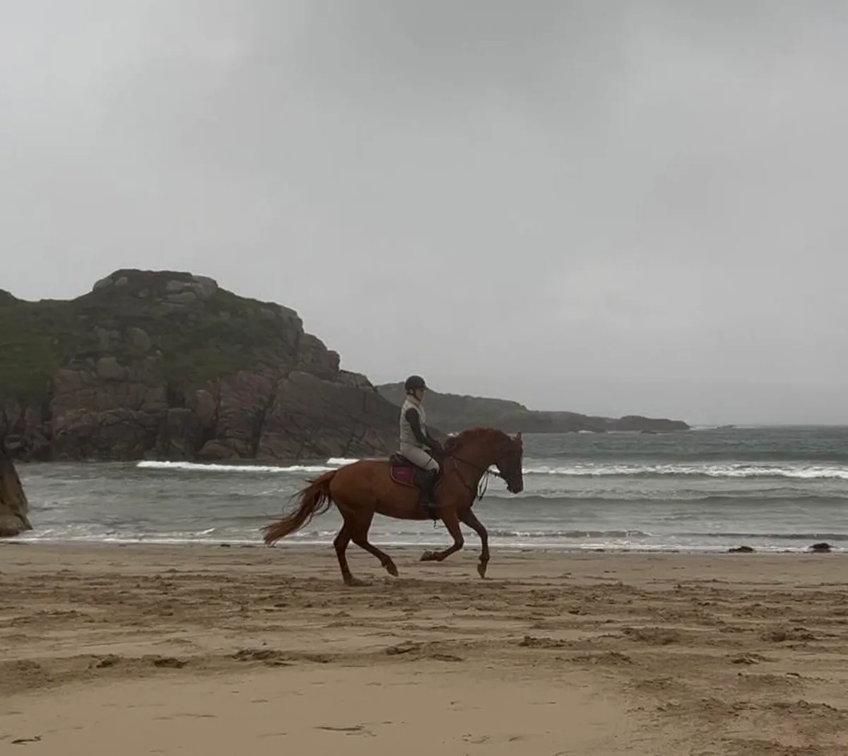 ⭐️ Talented 6yo 15.2hh ISH Mare ⭐️ - Image 2