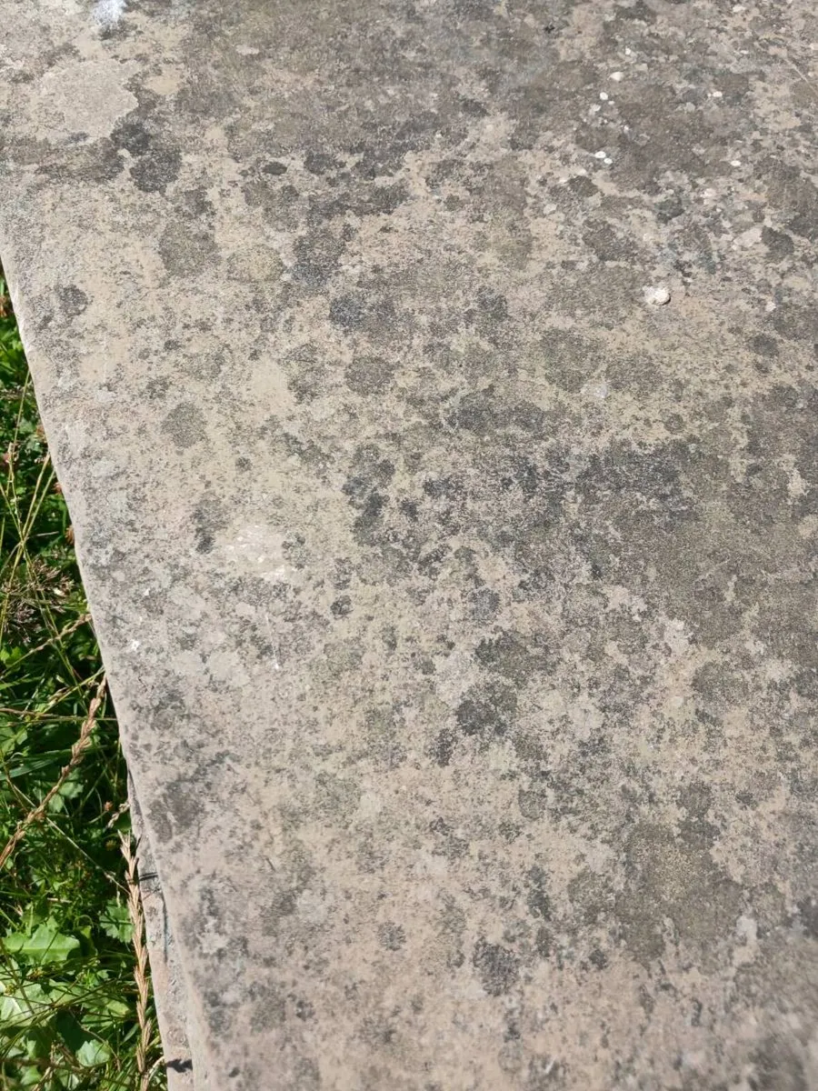 paving - Image 4