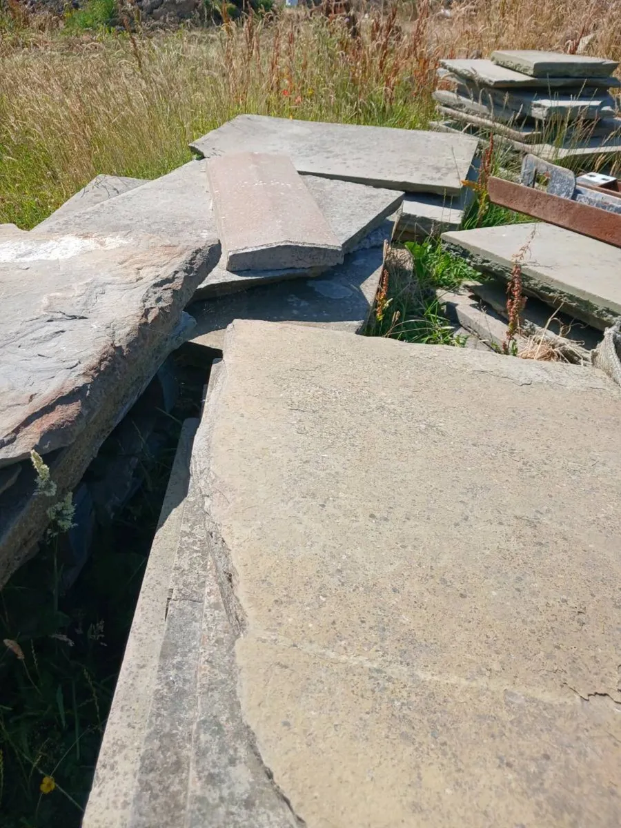 paving - Image 2