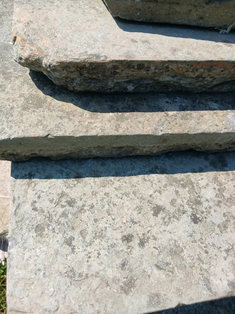 paving - Image 3
