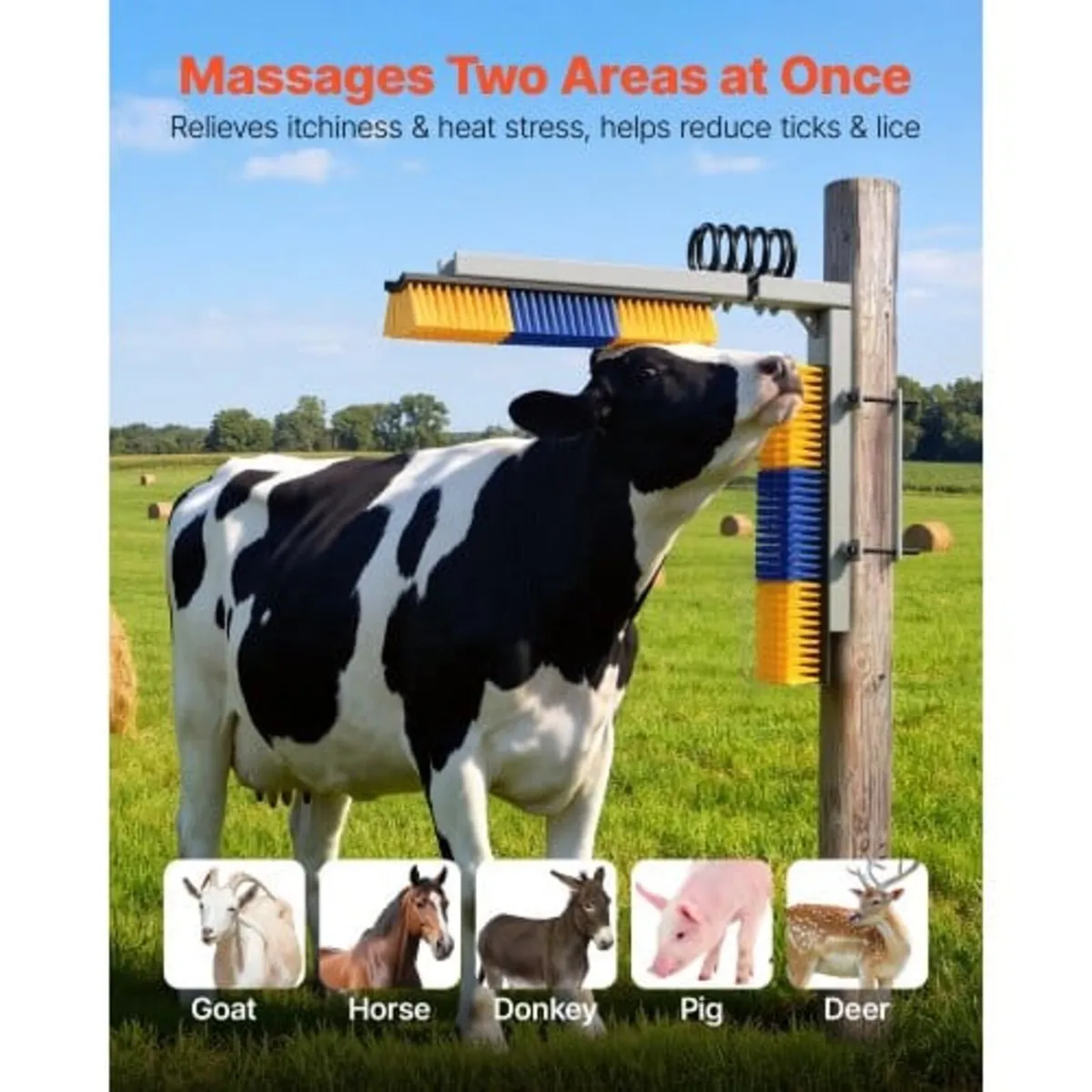 2 Way Livestock Scratching Brush, Dual Sided Goat - Image 3