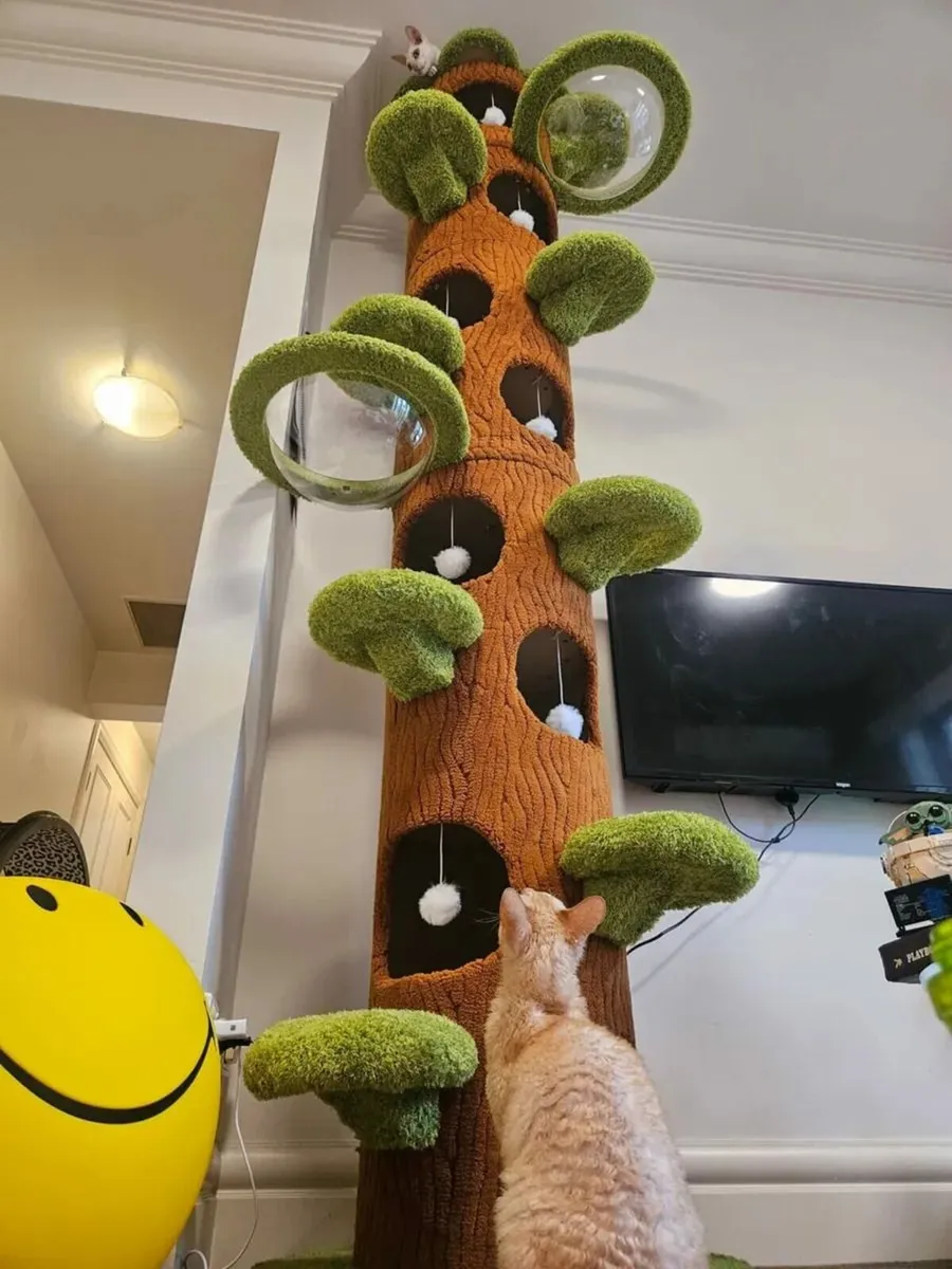 Cat tree scratching pole brand new - Image 2