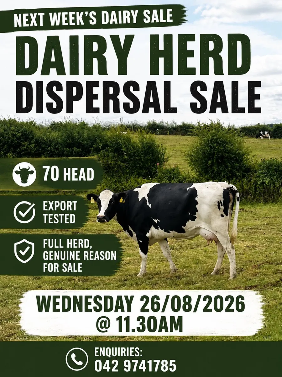 Dairy Herd Dispersal Sale- Ballybay Mart - Image 1