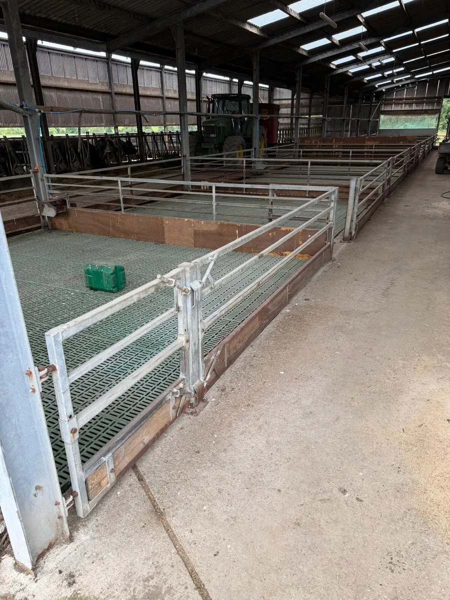 Sheep slats and feeding gates - Image 2