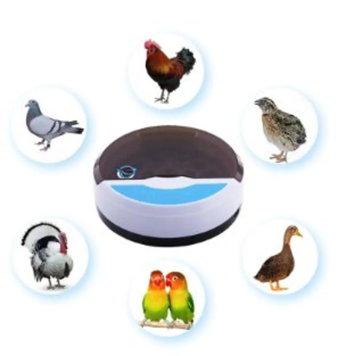 9-Egg Automatic Bird Egg Incubator - Image 1